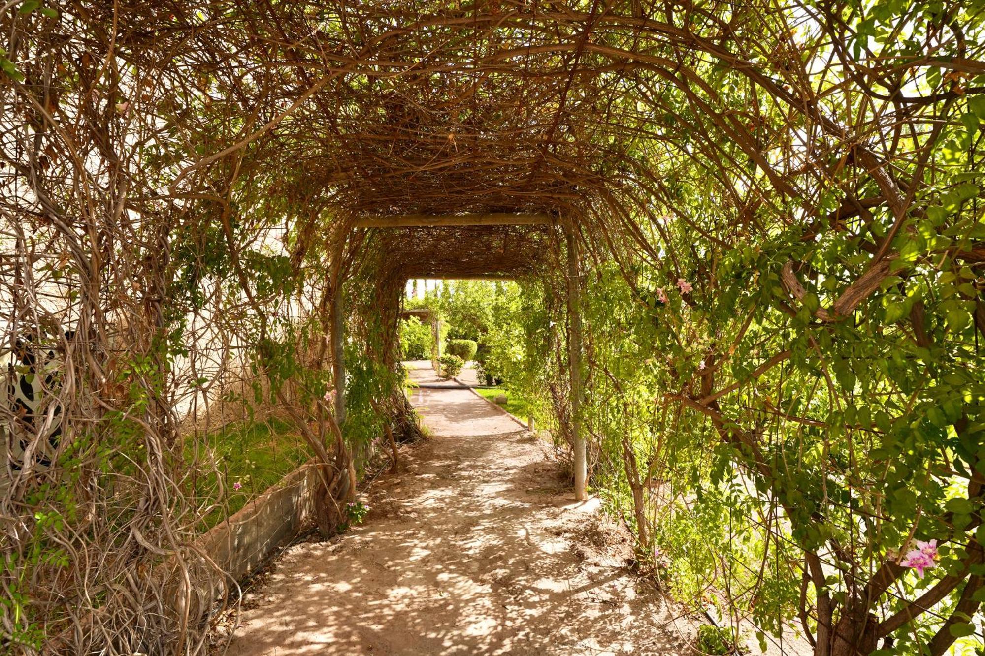 Ourika Camp Suites Hotel & Resort El Harkat Exterior foto